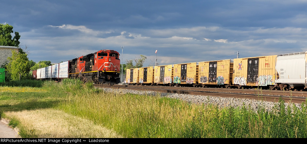 CN 8844